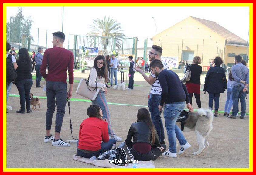 180311 mostra_canina 050.jpg